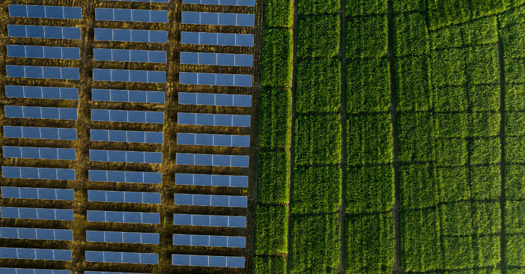 Modello di impianto agrivoltaico con pannelli fotovoltaici, vegetazione e turbina eolica su un supporto digitale, immagine dedicata al Bando Agrivoltaico.