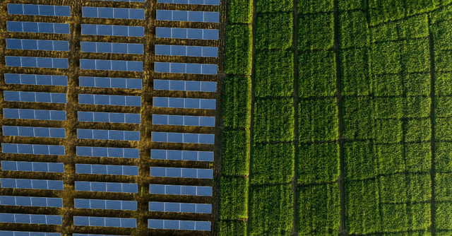 Modello di impianto agrivoltaico con pannelli fotovoltaici, vegetazione e turbina eolica su un supporto digitale, immagine dedicata al Bando Agrivoltaico.