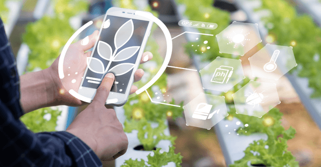 Intelligenza Artificiale in Agricoltura
