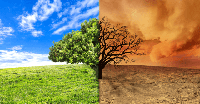 Cambiamenti climatici e biodiversità: contrasto tra paesaggio verde e ambiente arido, simbolo degli impatti ambientali globali.