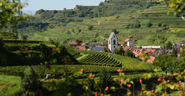 Paesaggio rurale con colline verdi e borgo, esempio di Aree Interne italiane e sviluppo sostenibile